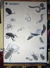 Layout Process